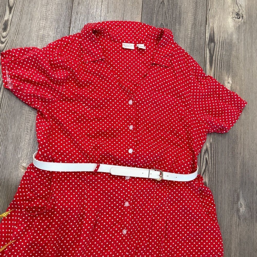 Erika Red Polka Dot Button Down Dress - Picture 2 of 12